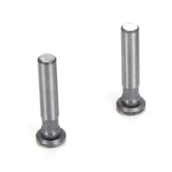 Team Losi Racing Hinge Pins, 4 x 21mm TiCN (2): 8IGHT 4.0 for Parts